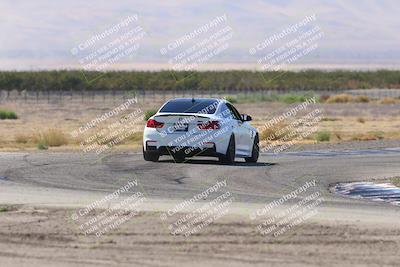 media/Oct-04-2025-OnGrid (Sat) [[44bd565ffa]]/Green Group/Grapevine/